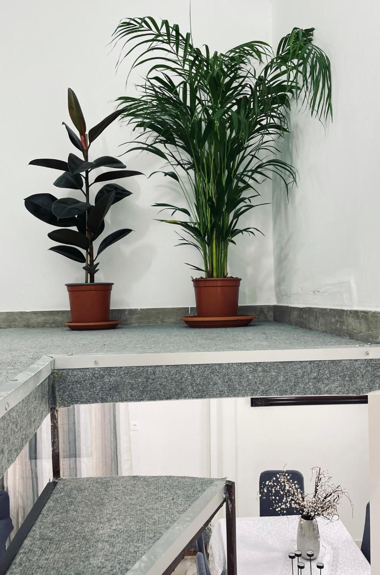 Apartment Your Seaside Escape In Oropos
